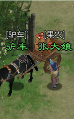 星辰变归来果农张大嫂