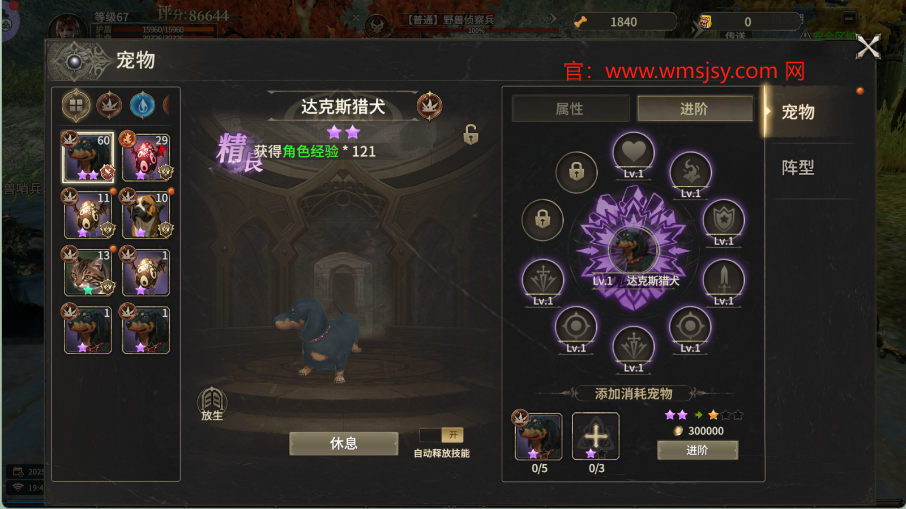 奇迹手游官网下载：奇迹世界2守护好还是狂暴好